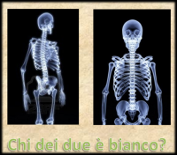 /album/uguaglianza/chi-dei-due-png/
